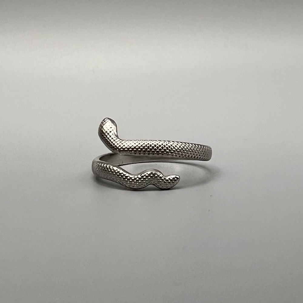 Snake Ring, Silver Tone